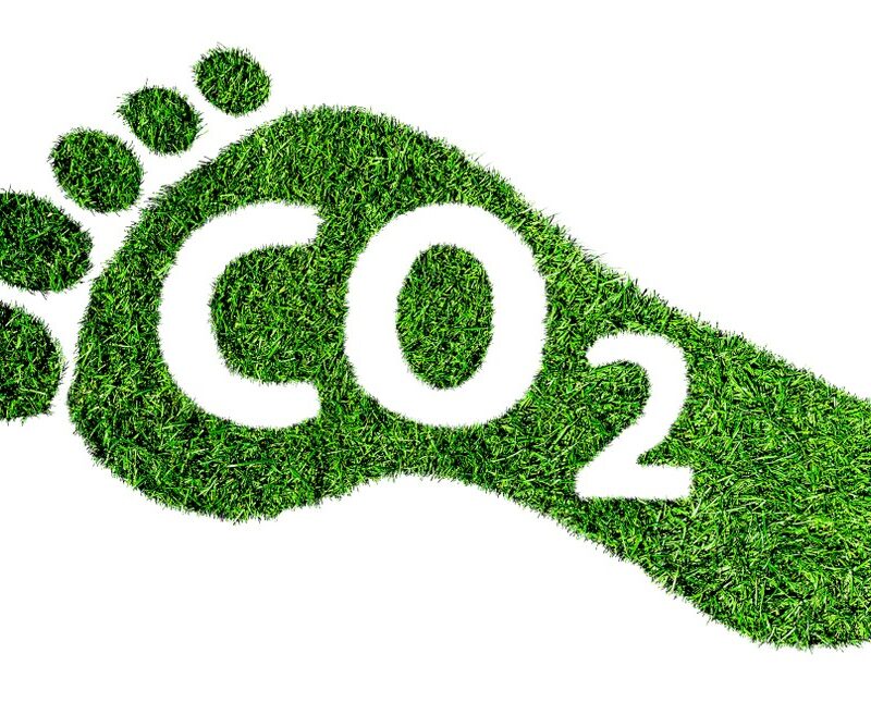 A footprint made out of grass with CO2 cut out (Carbon Footprint)