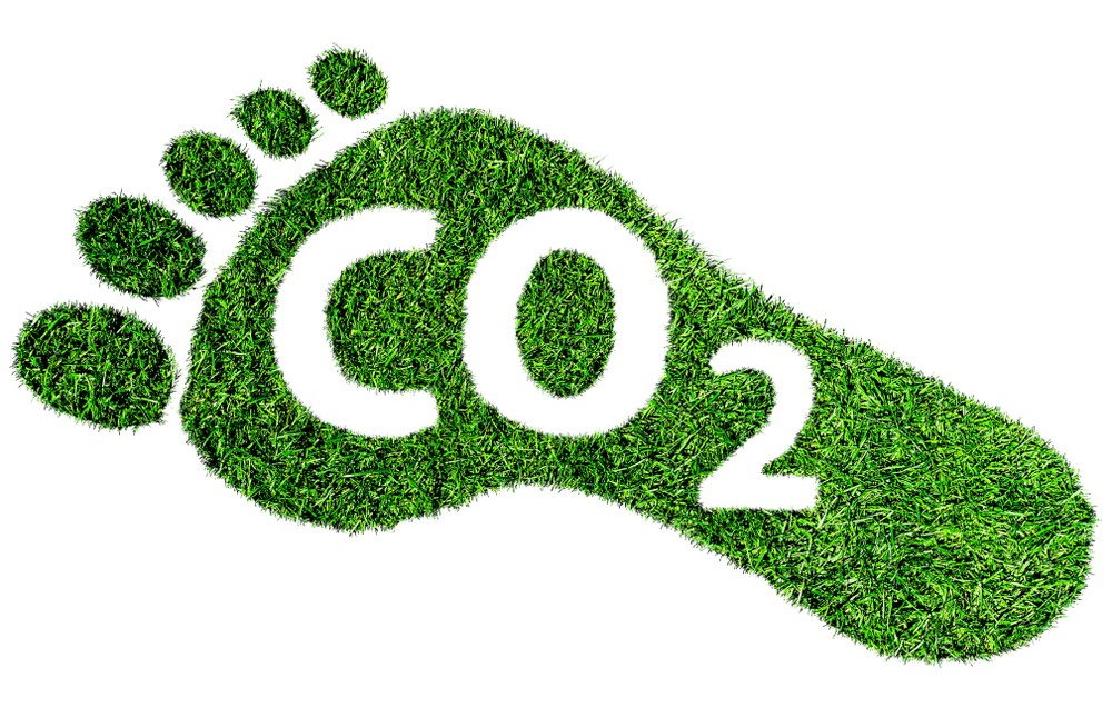 A footprint made out of grass with CO2 cut out (Carbon Footprint)