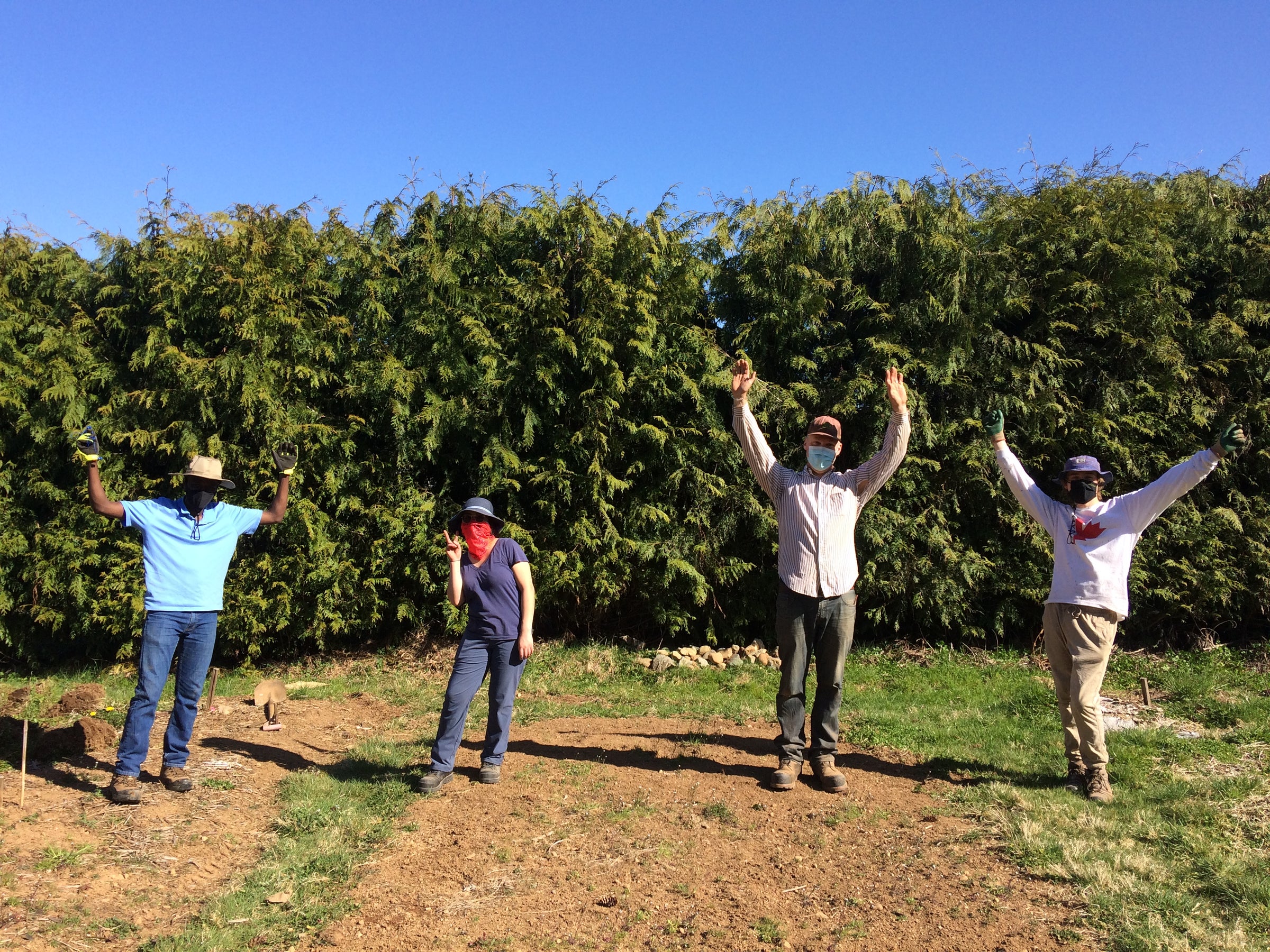 We love what we do - four gardeners waving arms in the air, having fun.