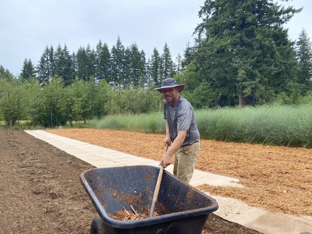 Preparing the garden with mulch.