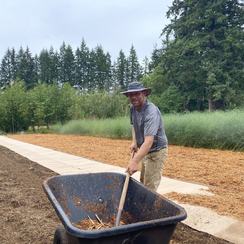 Preparing the garden with mulch.